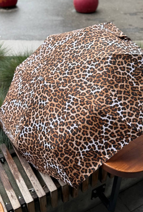 Leo's umbrella