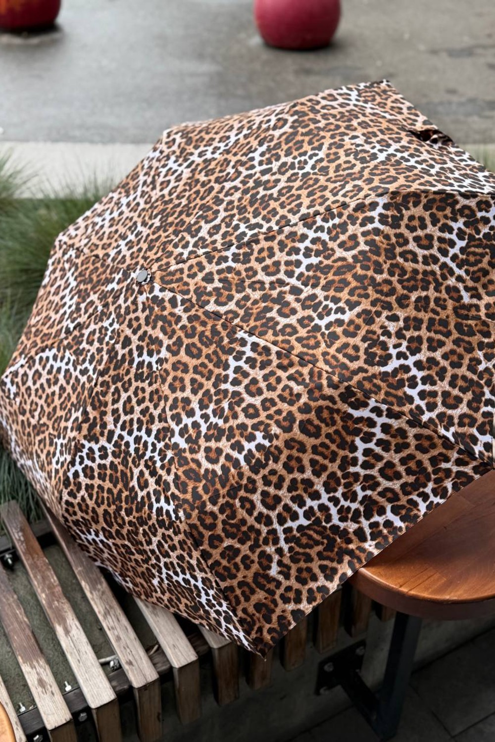 Leo's umbrella